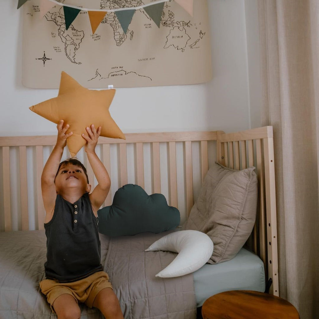 Toddler Boy's Room Decor Pillows